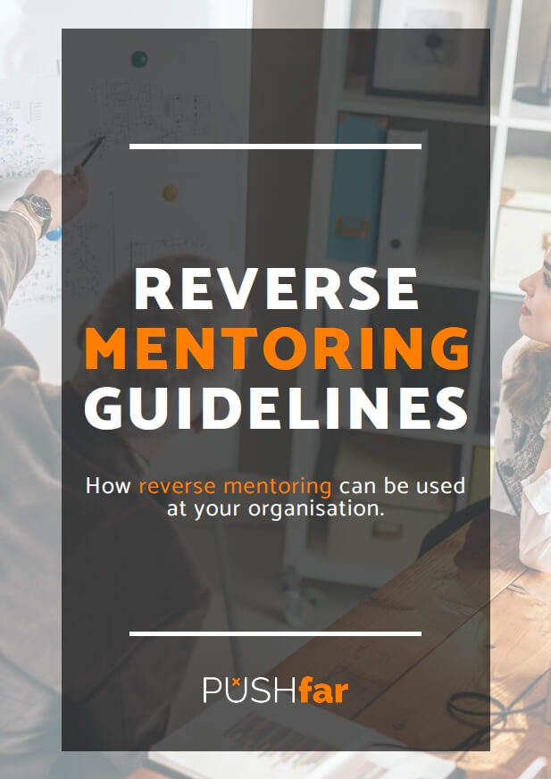 Reverse Mentoring Guidelines